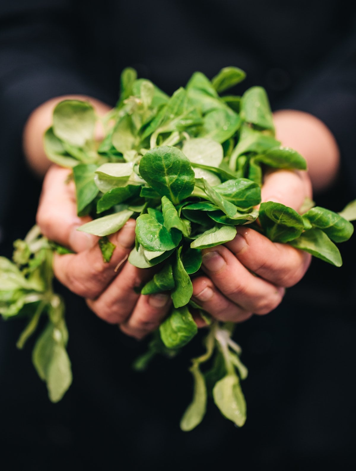 Nationellt Centrum för Måltiden