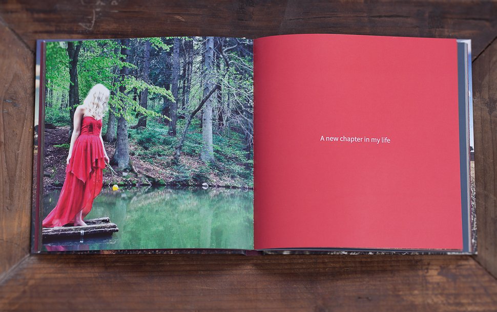 The Last Princess Book