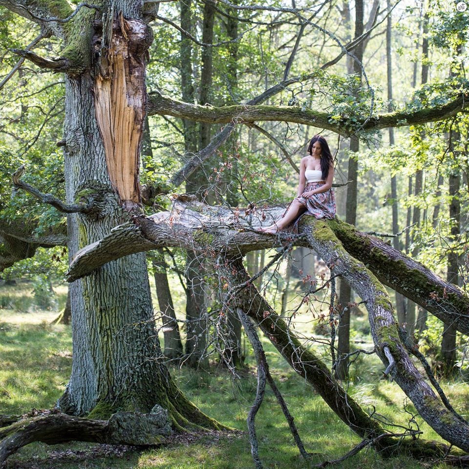 En återblick på året 2014