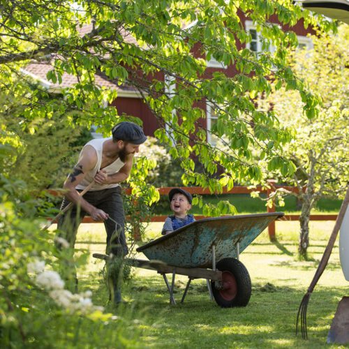 Motor Trend Far och Son