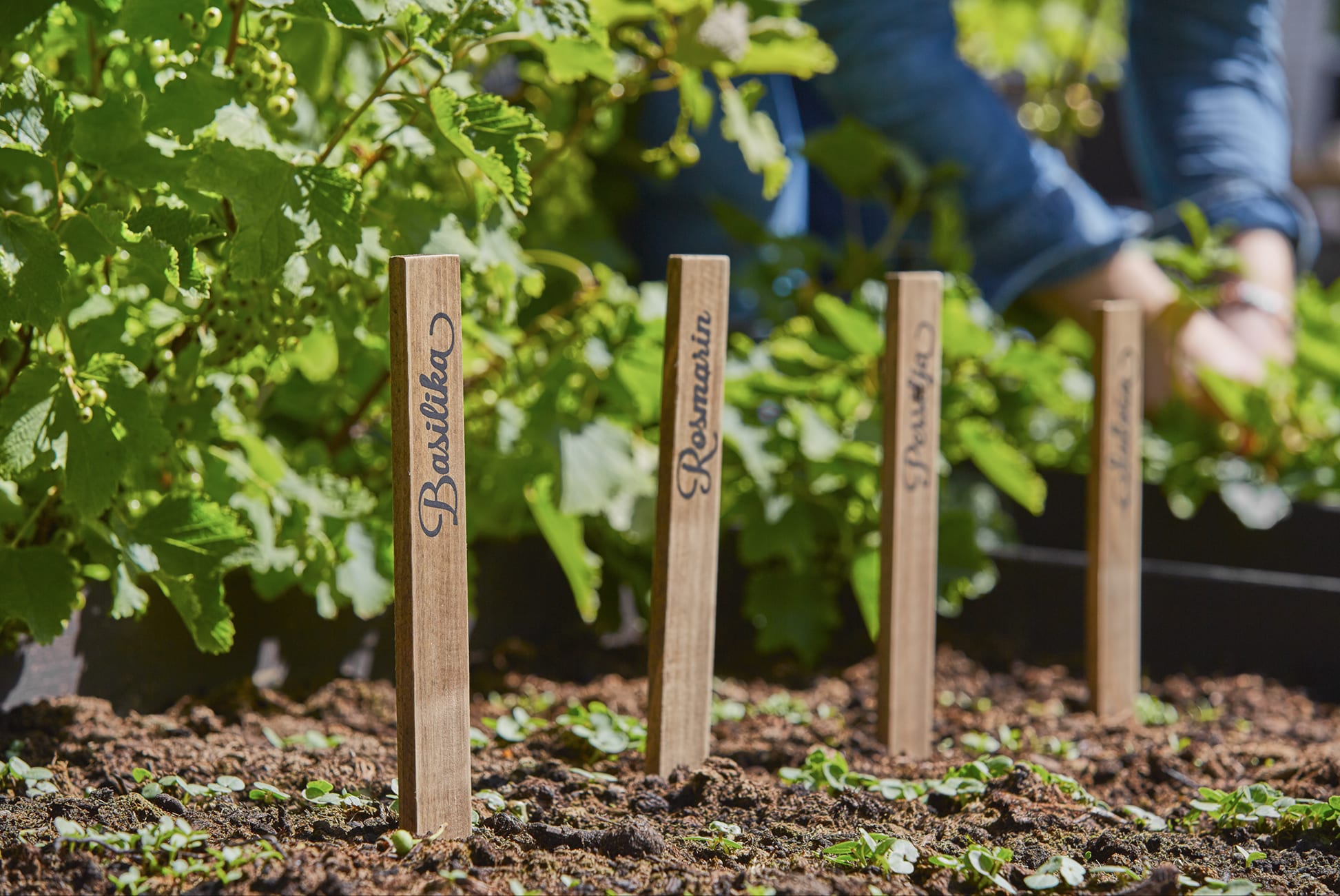 Mio Reklambilder odla