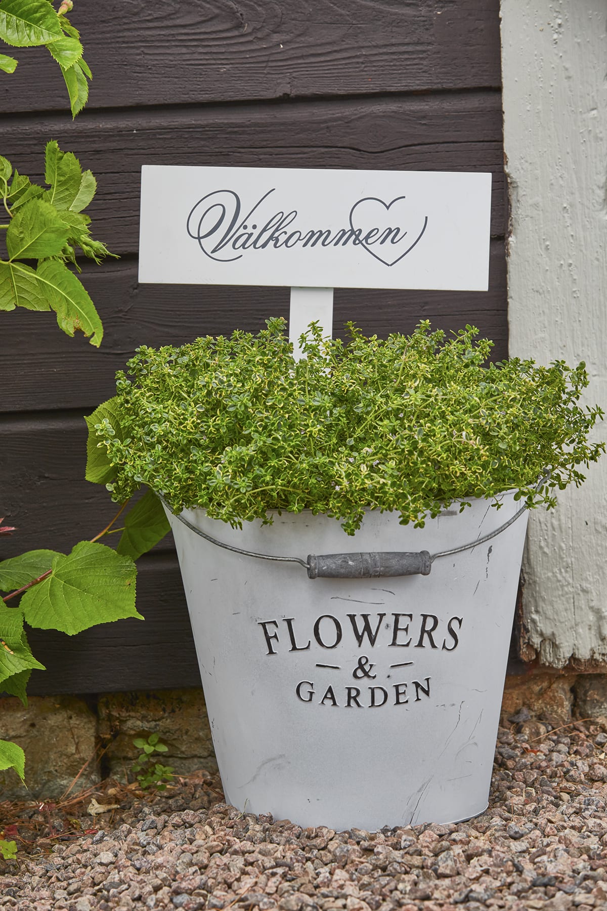 Mio Reklambilder odla