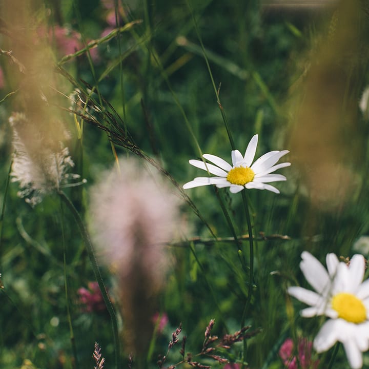 Skövde kommun reklambilder