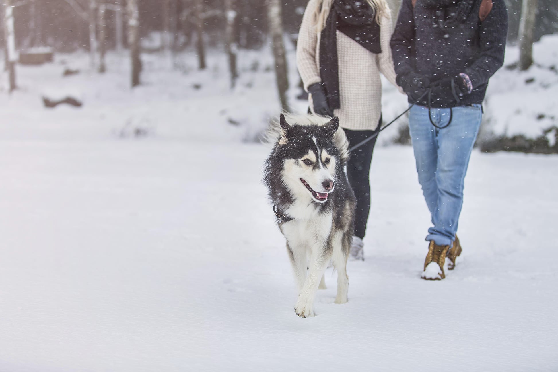 Skövde kommun reklambilder