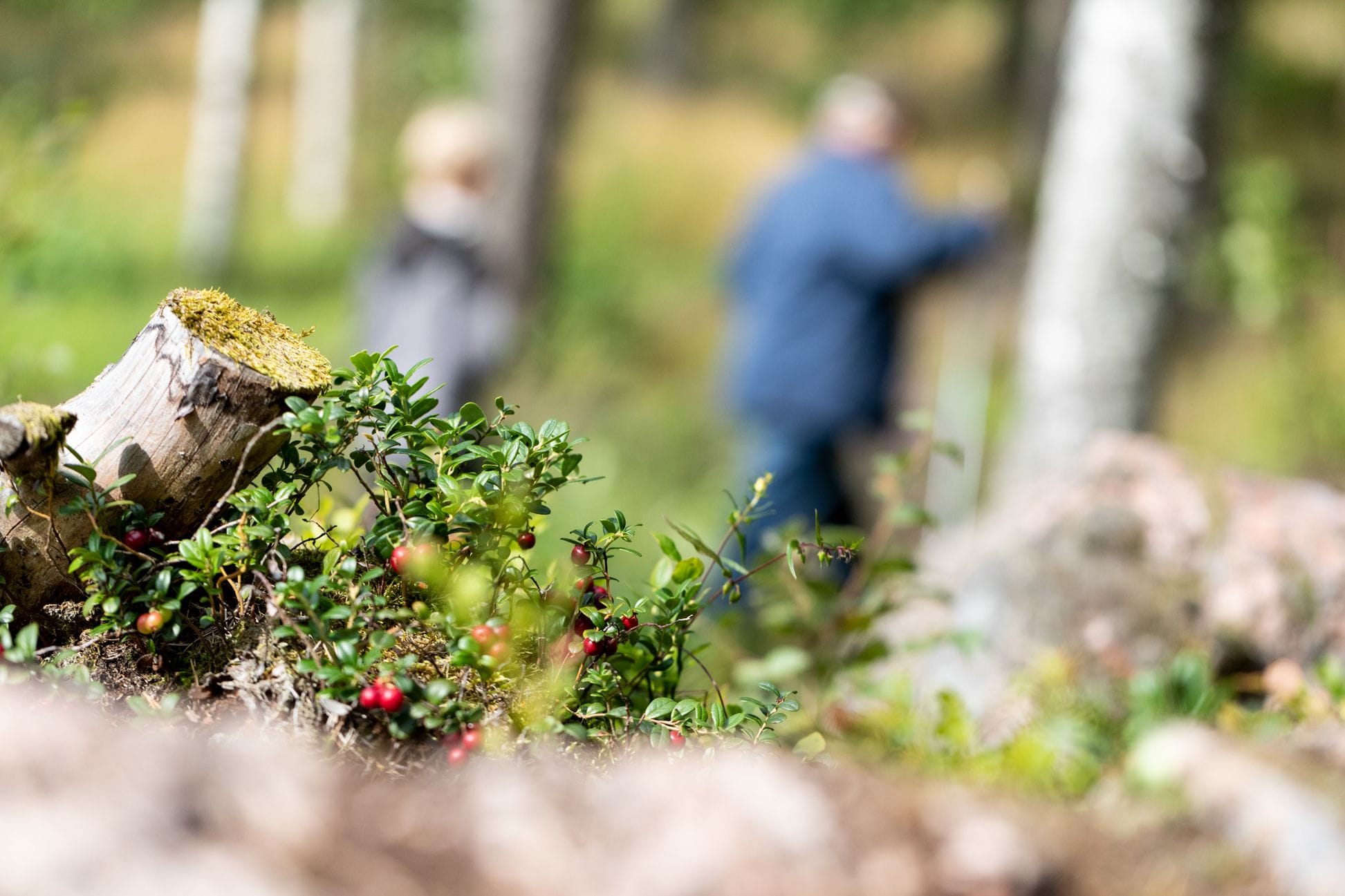 Gullspång Reklambilder