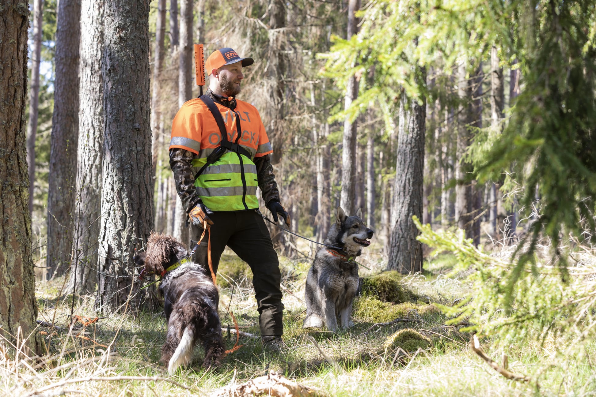 Länsförsäkringar