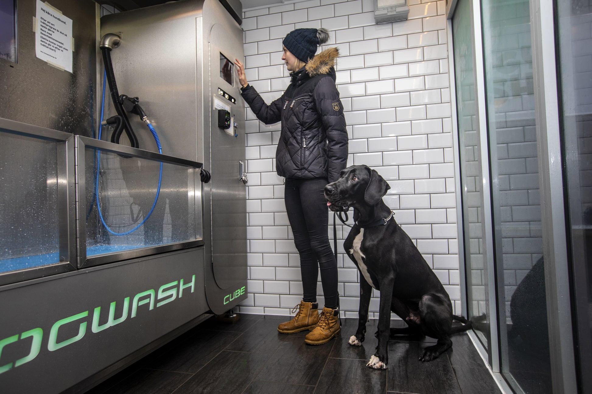 Doggy Wash Reklambilder