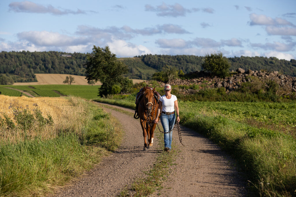 Platsvarumärket Falköping