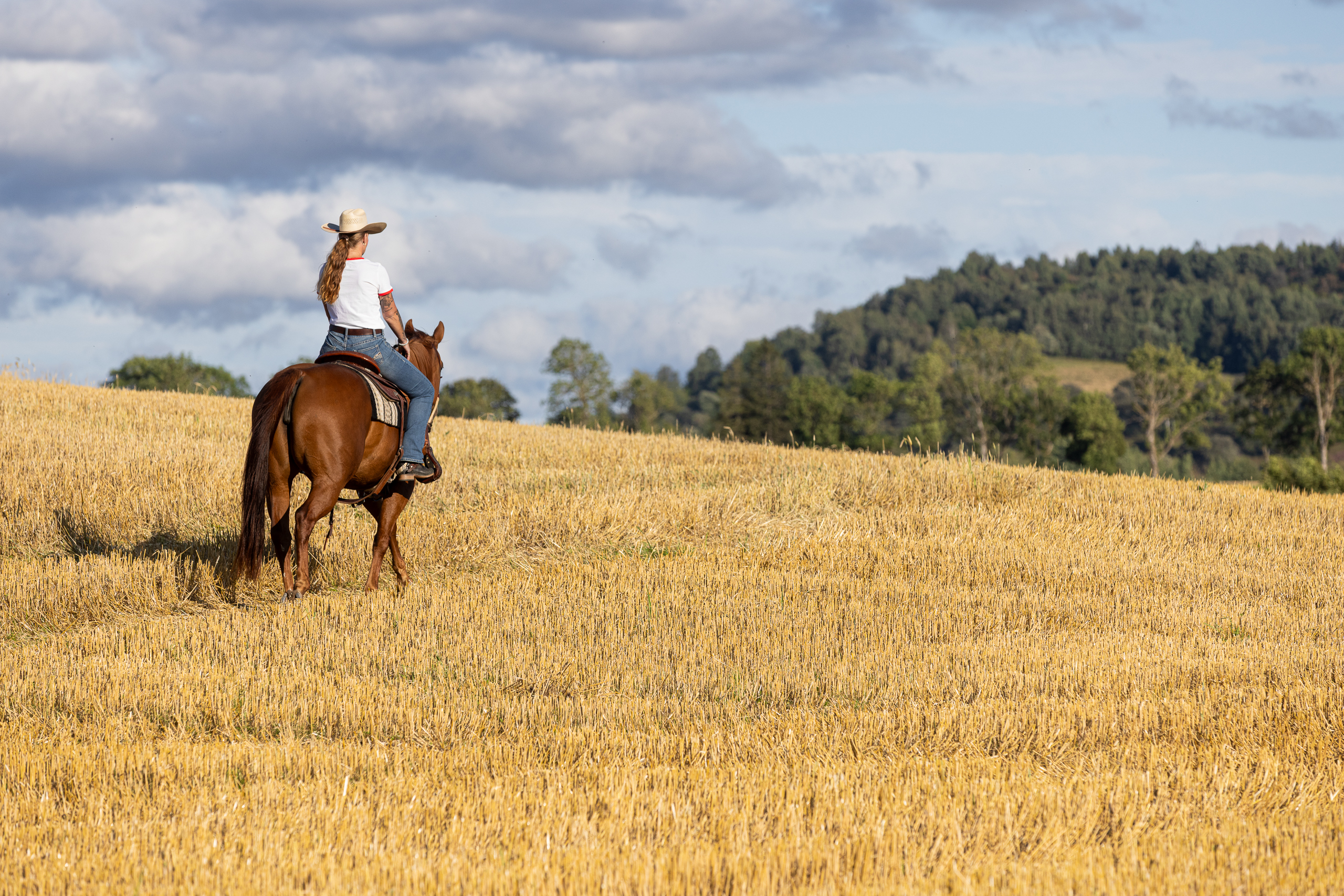 Platsvarumärket Falköping