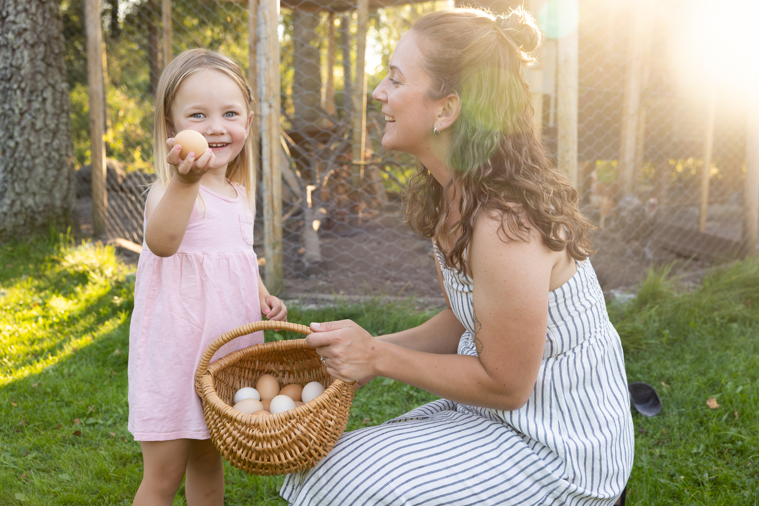 Platsvarumärket Falköping