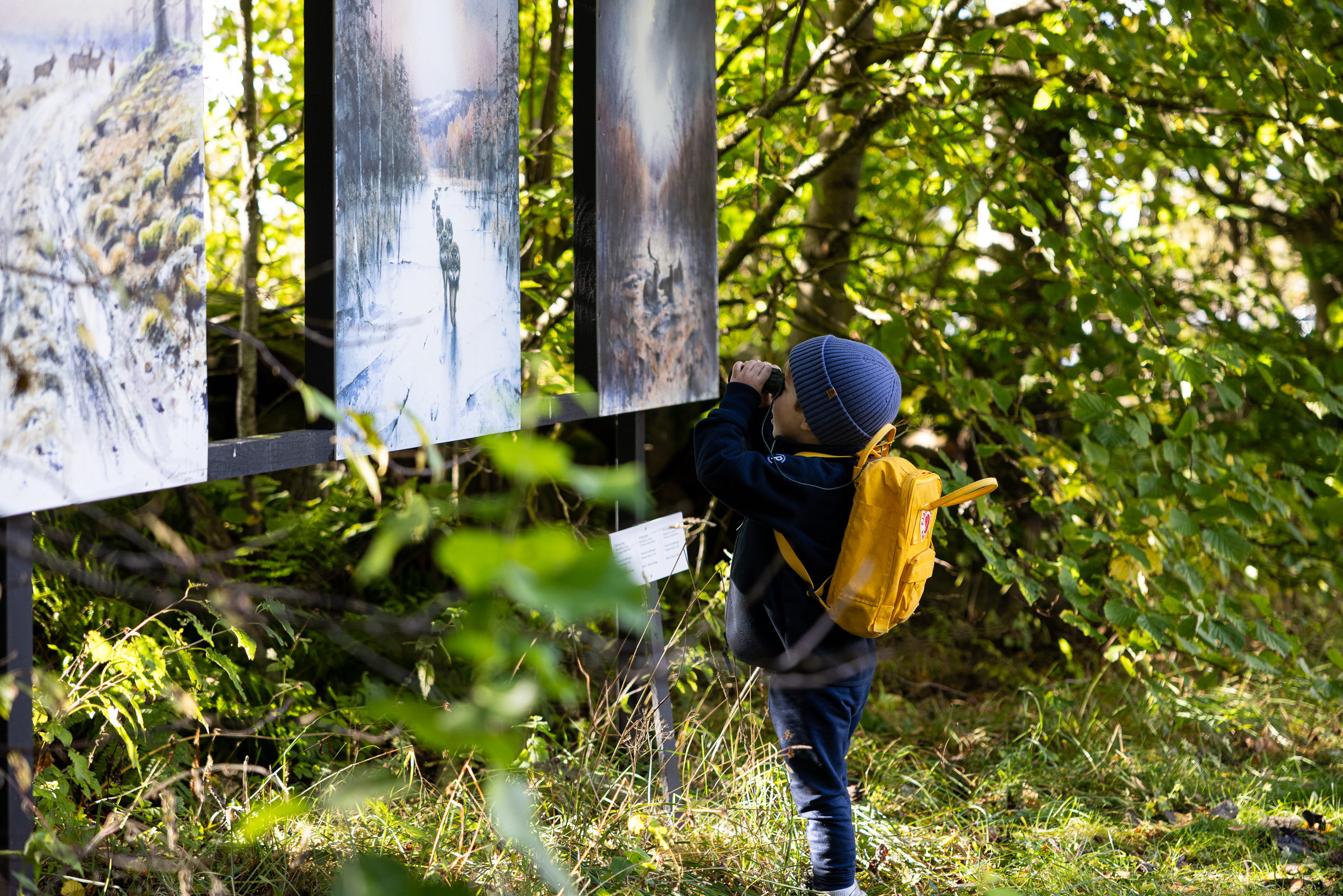 Platsvarumärket Falköping