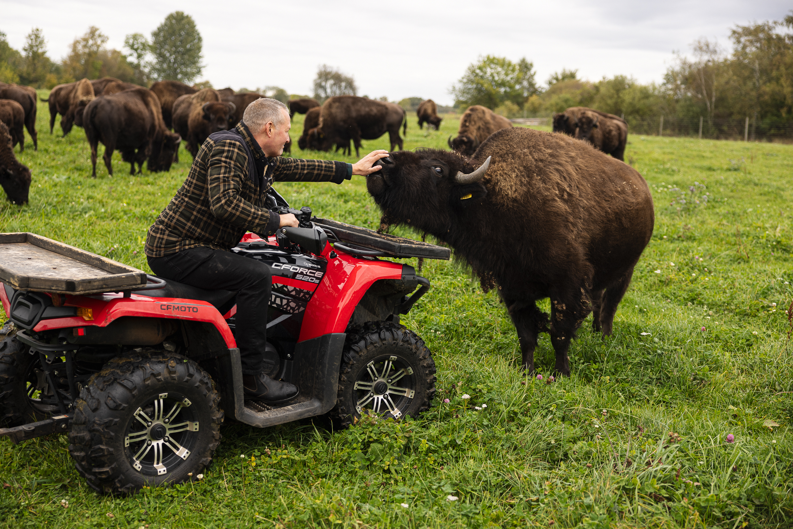 Platsvarumärket Falköping